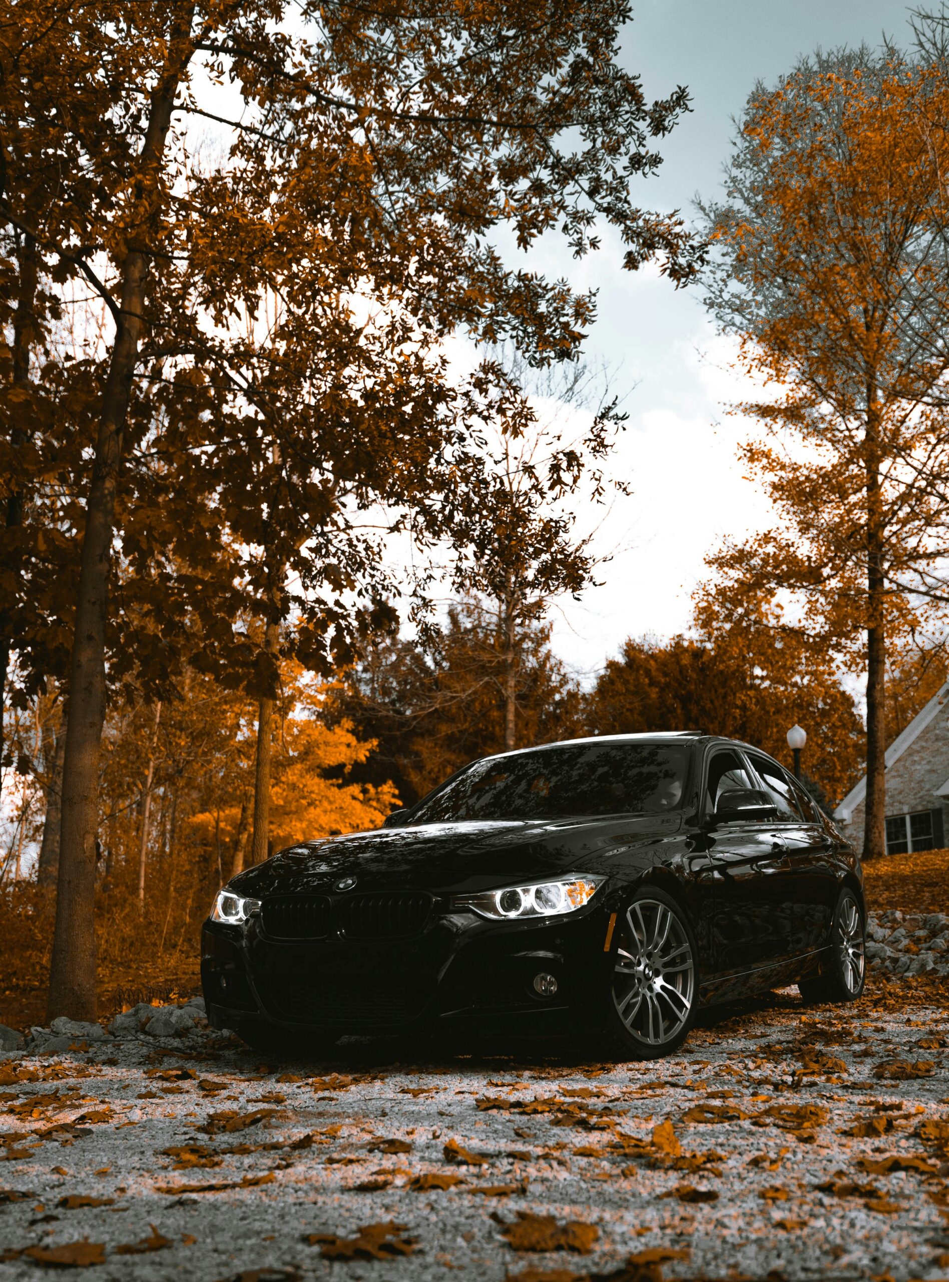 yuvraj-singh-fiEhVRWA5d0-unsplash